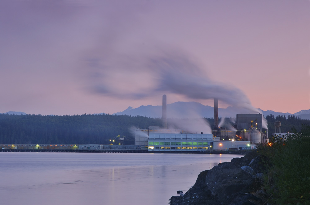 Pulp Mill Profitability