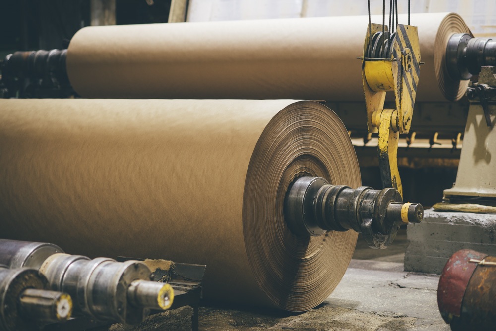 at paper making factory