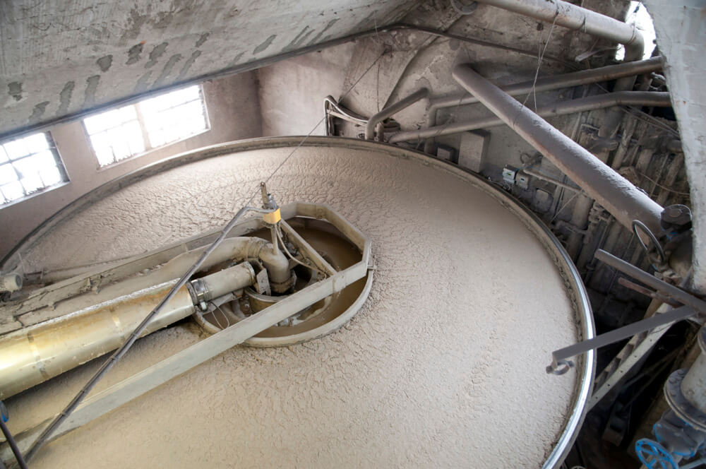 Pulp & Paper Industry