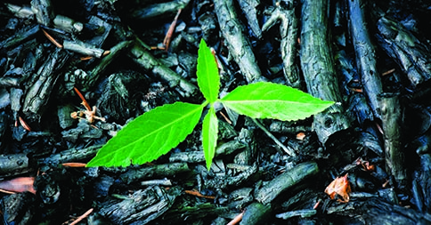 fly ash handling equipment