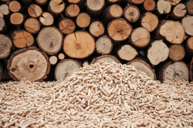 biomass energy efficiency