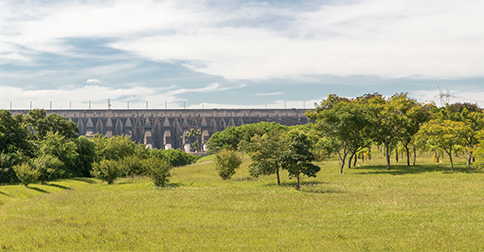 biomass in central america