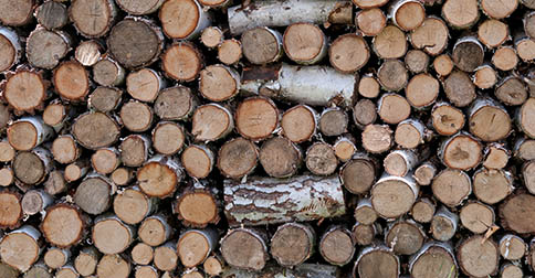 coal-to-biomass conversion